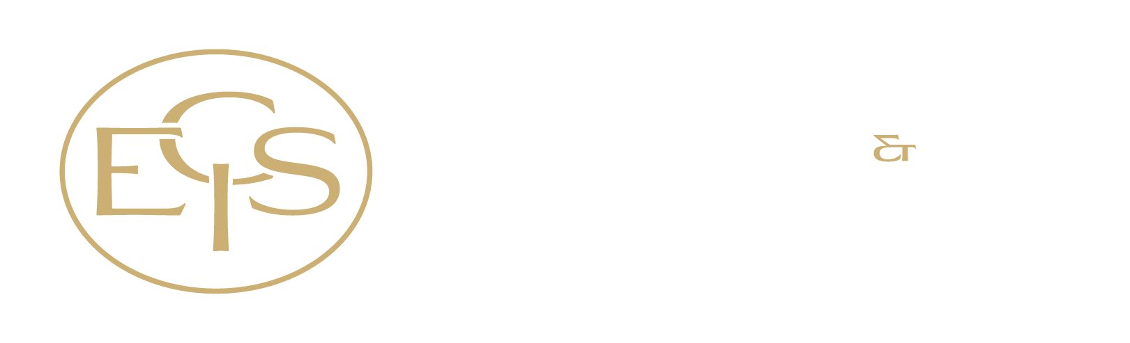 Elite Capital & Insurance Services