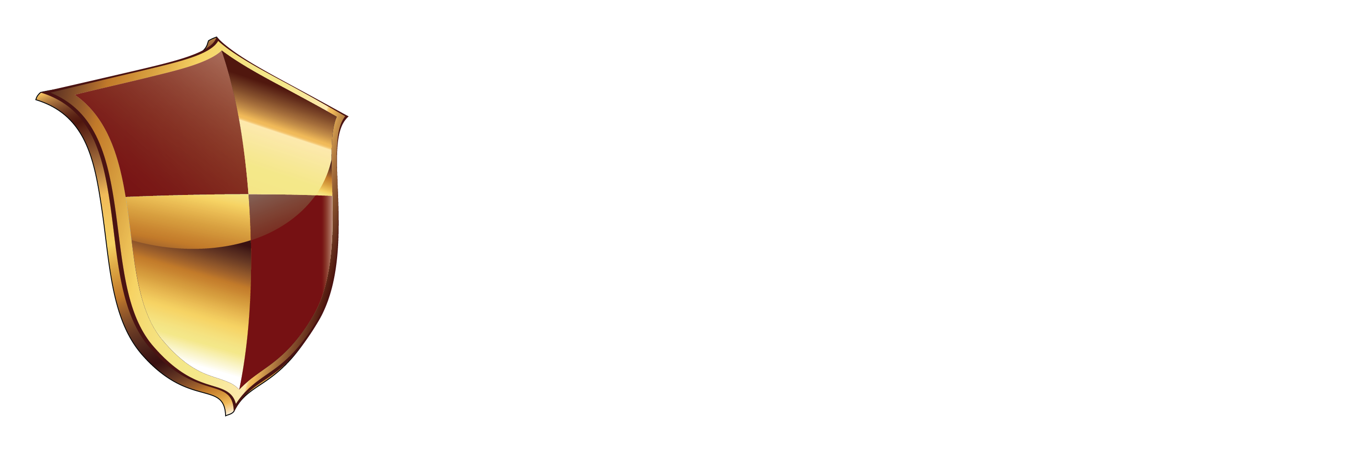 Maggi Tax & Wealth Advisors